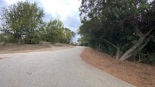 Enlarge photo 338