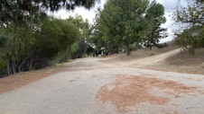 Enlarge photo 340