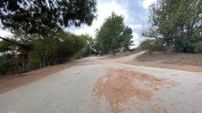 Enlarge photo 341
