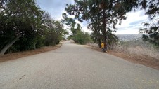 Enlarge photo 342