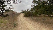 Enlarge photo 344