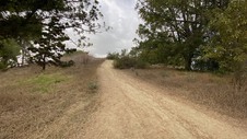 Enlarge photo 345