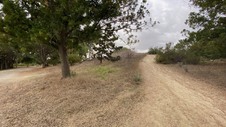Enlarge photo 346