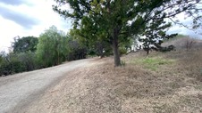 Enlarge photo 347