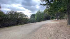 Enlarge photo 348