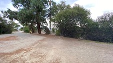 Enlarge photo 349