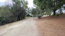 Enlarge photo 350