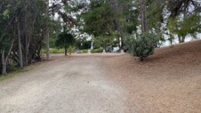 Enlarge photo 351