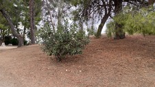 Enlarge photo 352