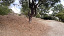 Enlarge photo 354