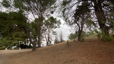 Enlarge photo 355