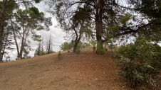 Enlarge photo 356