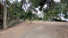 Enlarge photo 357
