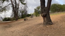 Enlarge photo 359