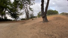 Enlarge photo 360