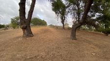 Enlarge photo 361