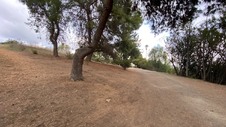 Enlarge photo 362