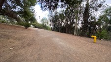 Enlarge photo 363