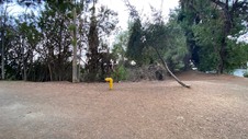 Enlarge photo 364
