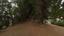 Enlarge photo 369