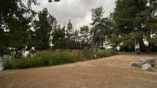 Enlarge photo 370