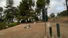 Enlarge photo 371