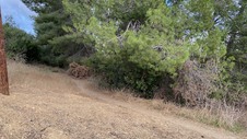 Enlarge photo 375