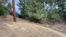 Enlarge photo 376