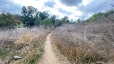 Enlarge photo 378