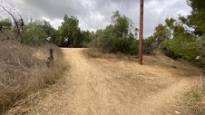 Enlarge photo 379