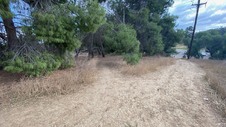 Enlarge photo 381