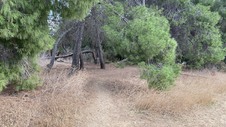 Enlarge photo 382