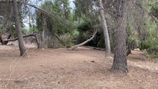 Enlarge photo 385