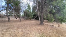 Enlarge photo 386