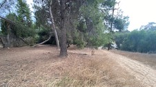 Enlarge photo 387