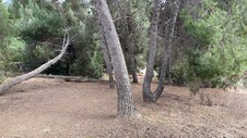 Enlarge photo 388