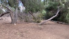 Enlarge photo 389
