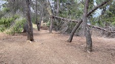 Enlarge photo 390
