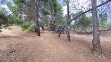 Enlarge photo 391