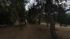 Enlarge photo 392