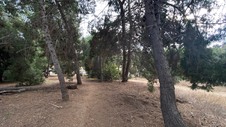 Enlarge photo 393