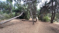 Enlarge photo 394