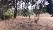 Enlarge photo 395