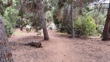 Enlarge photo 396