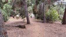 Enlarge photo 397