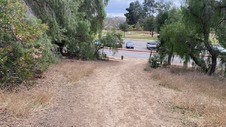 Enlarge photo 398