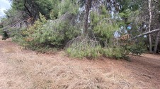 Enlarge photo 401