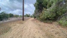 Enlarge photo 402