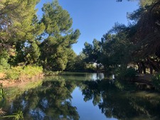 Ernest E Deb Park - POND