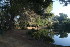 Enlarge photo 5